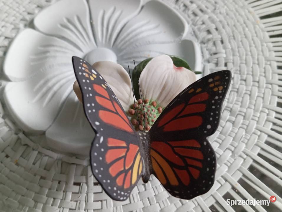 Porcelanowy motyl Franklin Zielona Góra sprzedam