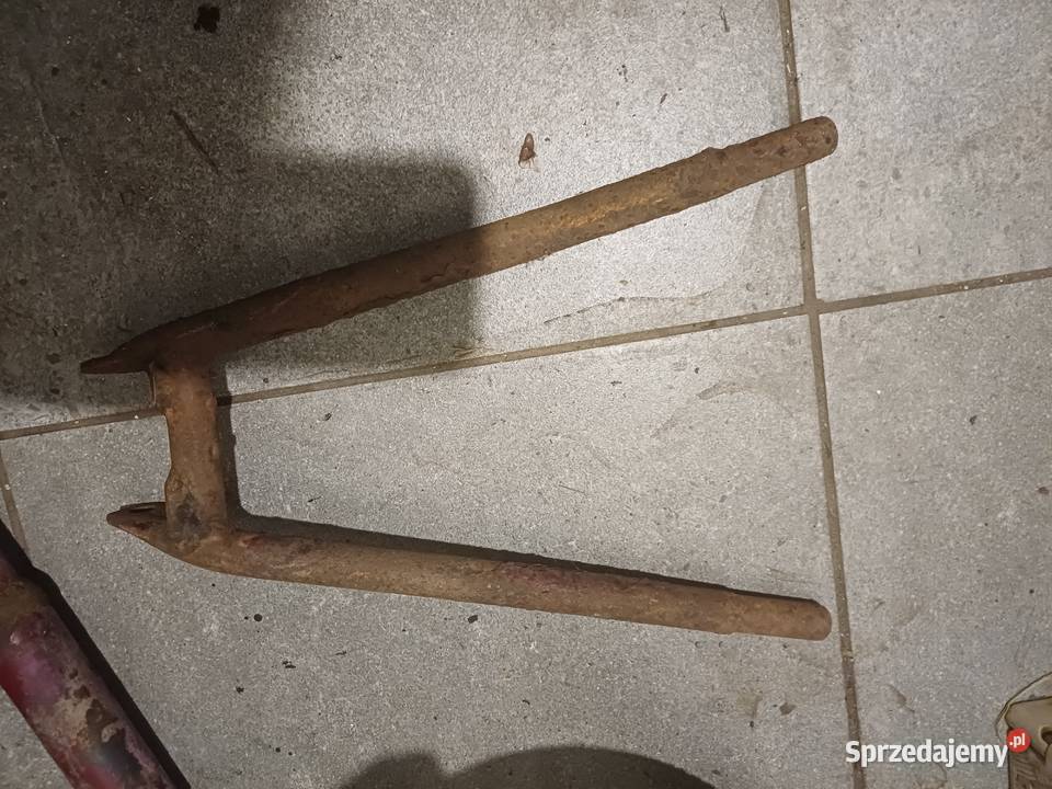 Ryś Żak wfm Kalwaria Zebrzydowska