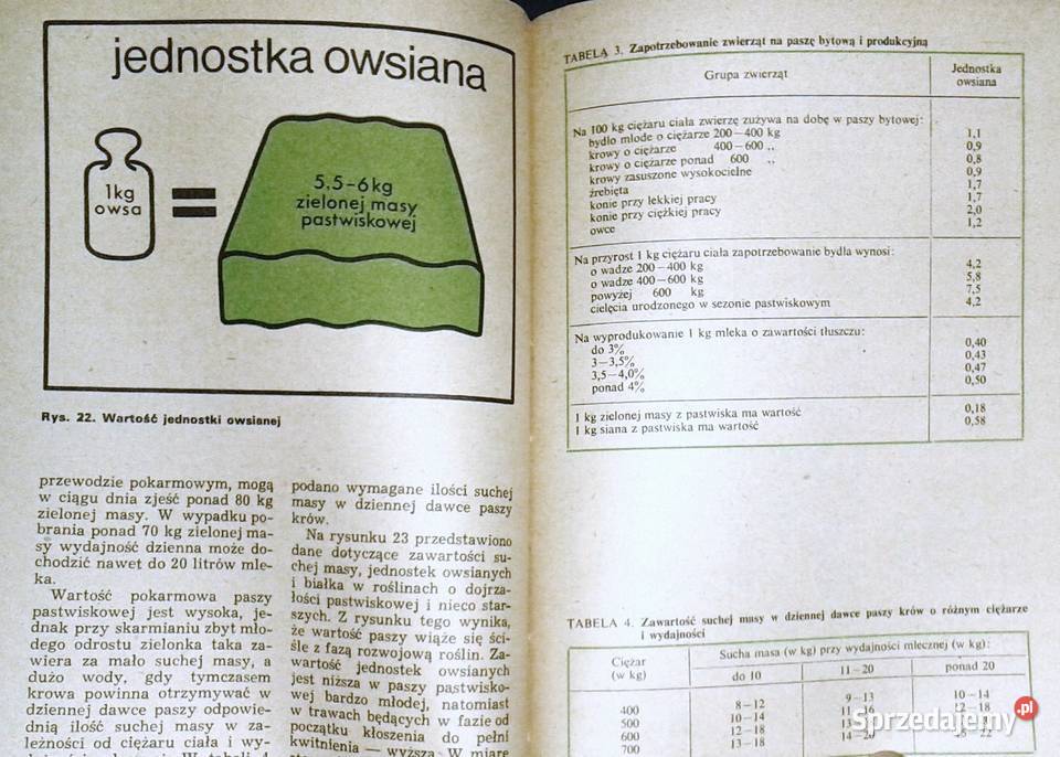 Kwaterowe użytkowanie pastwiska Zygmunt Kultura i Rozrywka