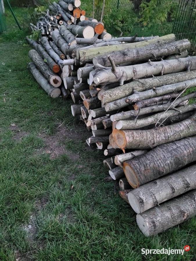 Usługi pilarskie cięcie drewna wycinka usługi Wadowice prace ogrodowe