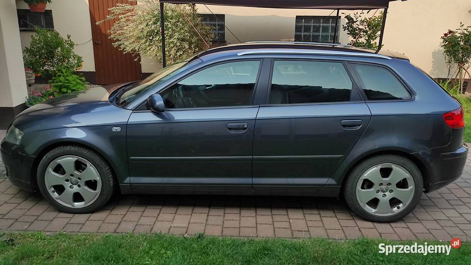 Audi a3 8p 20TDI diesel Małomice