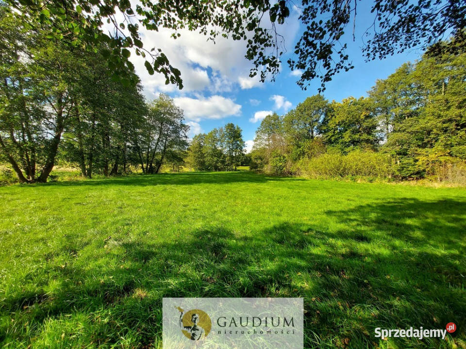 Enklawa pośród pól 1ha piękna i ciszy Kobysewo