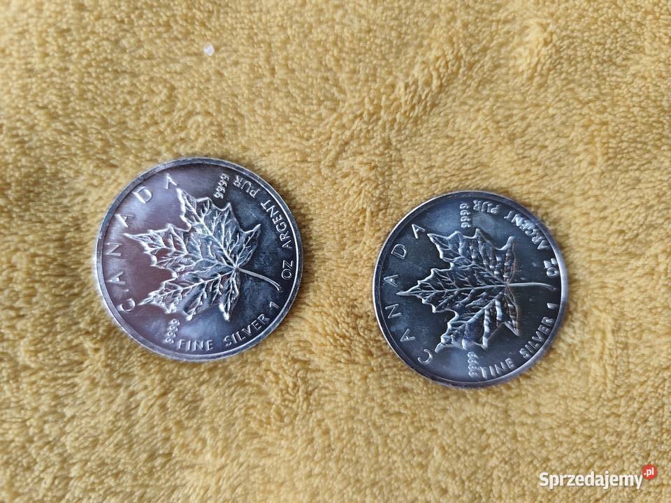 Srebrne Monety Kanadyjski Liść Klonowy 1 uncja Łazy