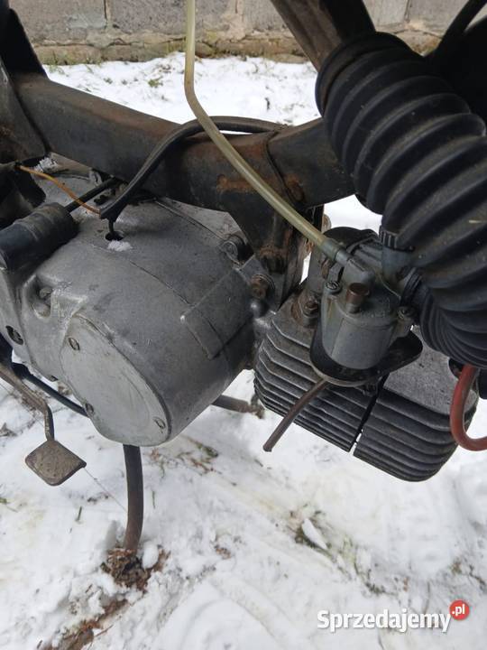 Jawka mustang Pawonków