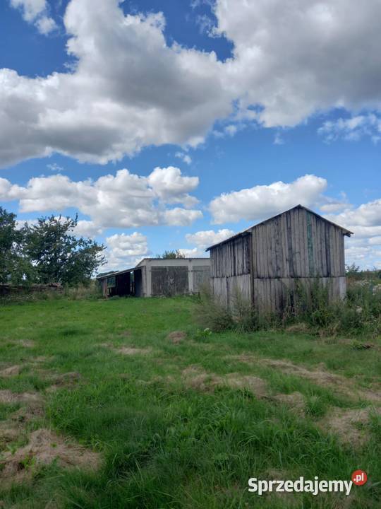 Dom 160m z działką 3700m w mieszkania Okazja 160m2 Wysoka Krajeńska sprzedam