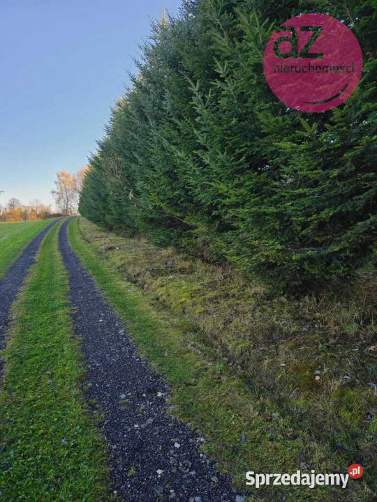 6 działek budowlanych w Stróżówce 24a Stróżówka