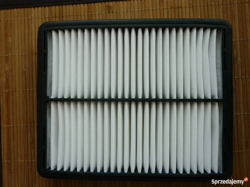 Filtr powietrza AP822 Filtron Daewoo Chevrolet Łódź