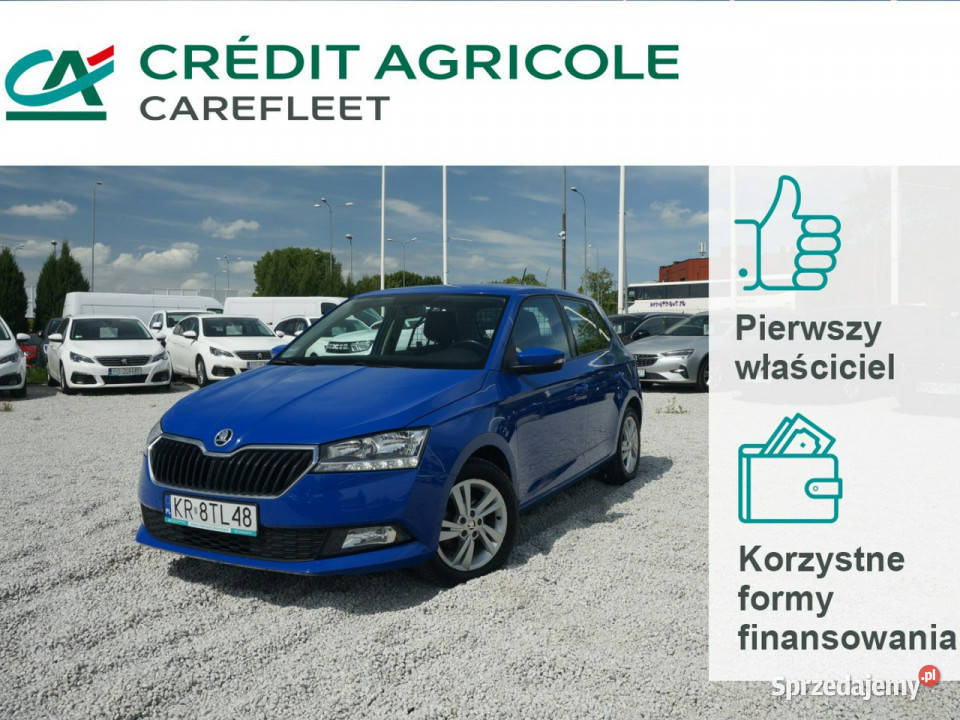 Skoda Fabia 10 TSI95 Ambition Fabia VAN Salon wielkopolskie Poznań