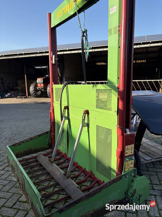 WYCINAK WYBIERAK BVL STRAUTMANN TRIOLIET mazowieckie