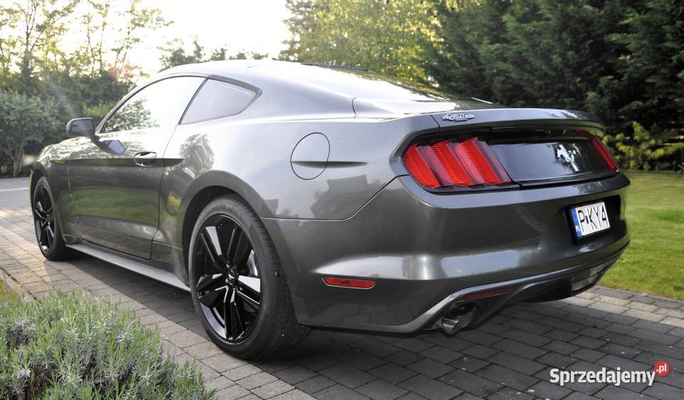 Mustang 37 2016 Krzymów