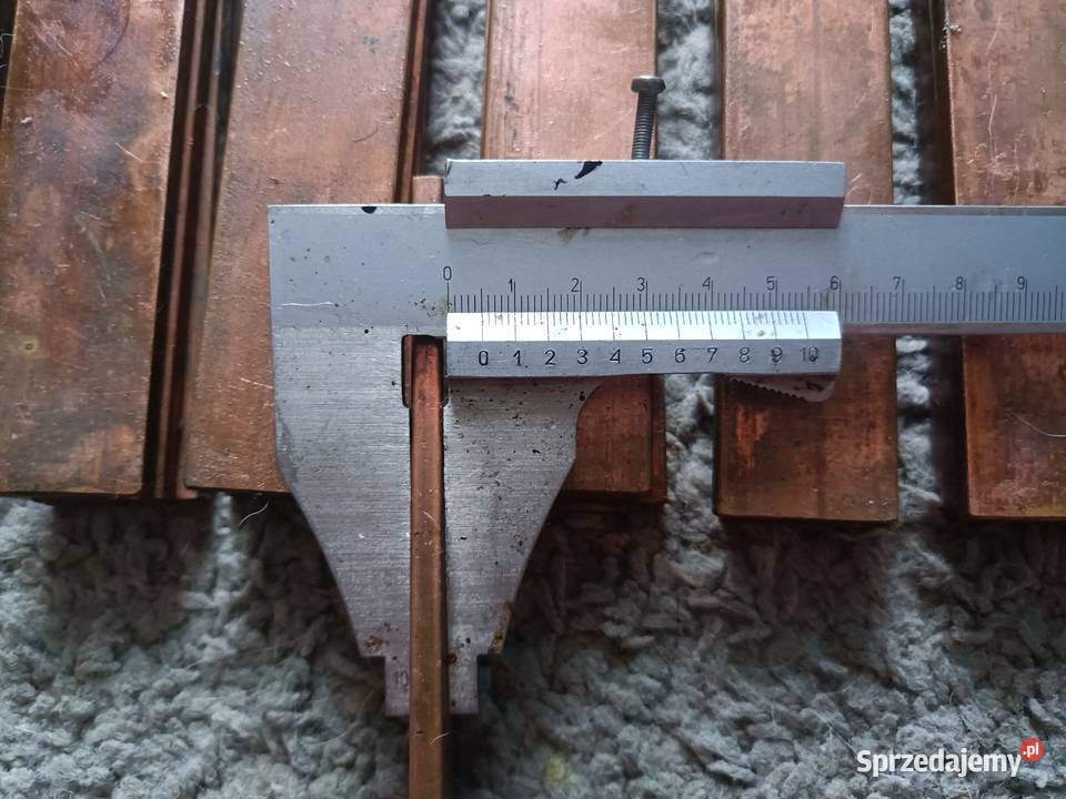 Plaskownik miedziany miedź 20 3 lubelskie Modliborzyce