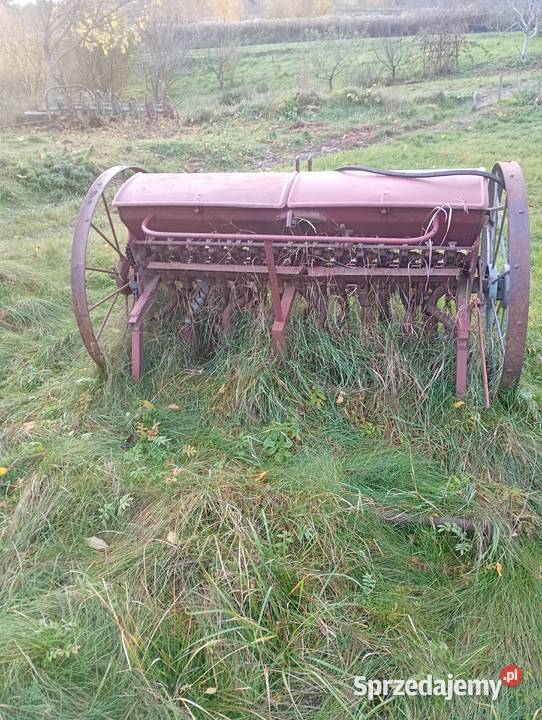 Siewnik lubelskie Dzierzkowice-Podwody