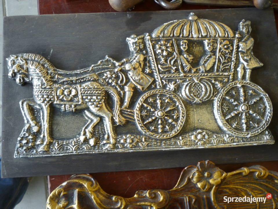 płaskożeżby mazowieckie Siedlce