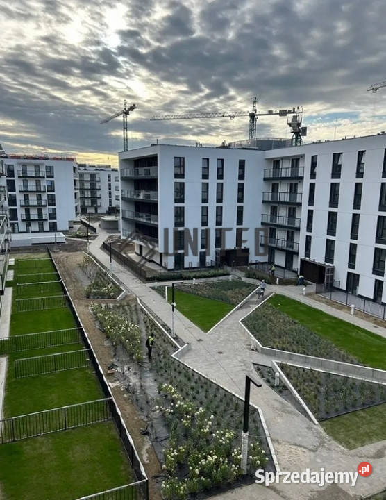 Białodrzewnej Wrocław