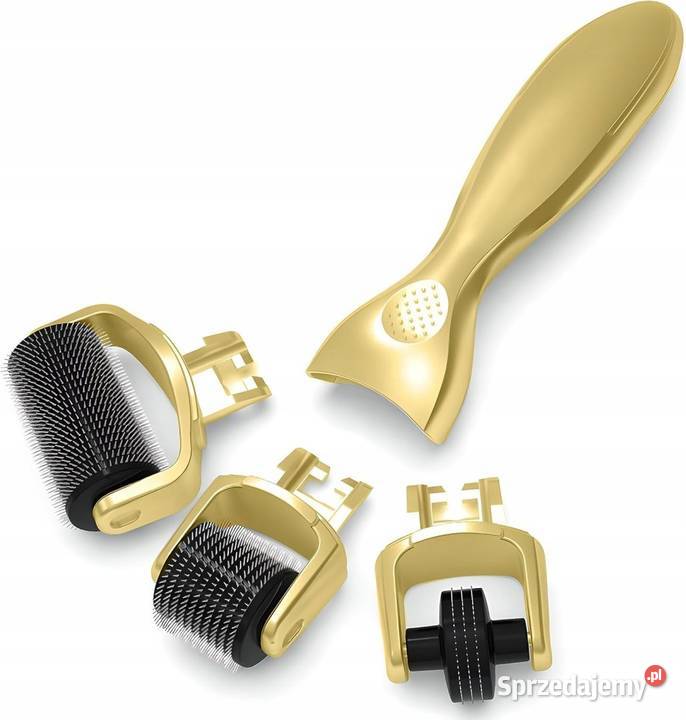 ROLLER DO TWARZY MASAŻER MEZOTERAPIA IGŁY 3W1 DO Sosnowiec