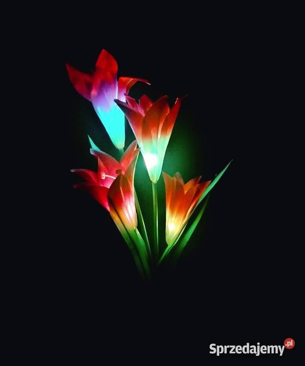 NOWA Lampka solarna LED kwiatki Lili Blachownia