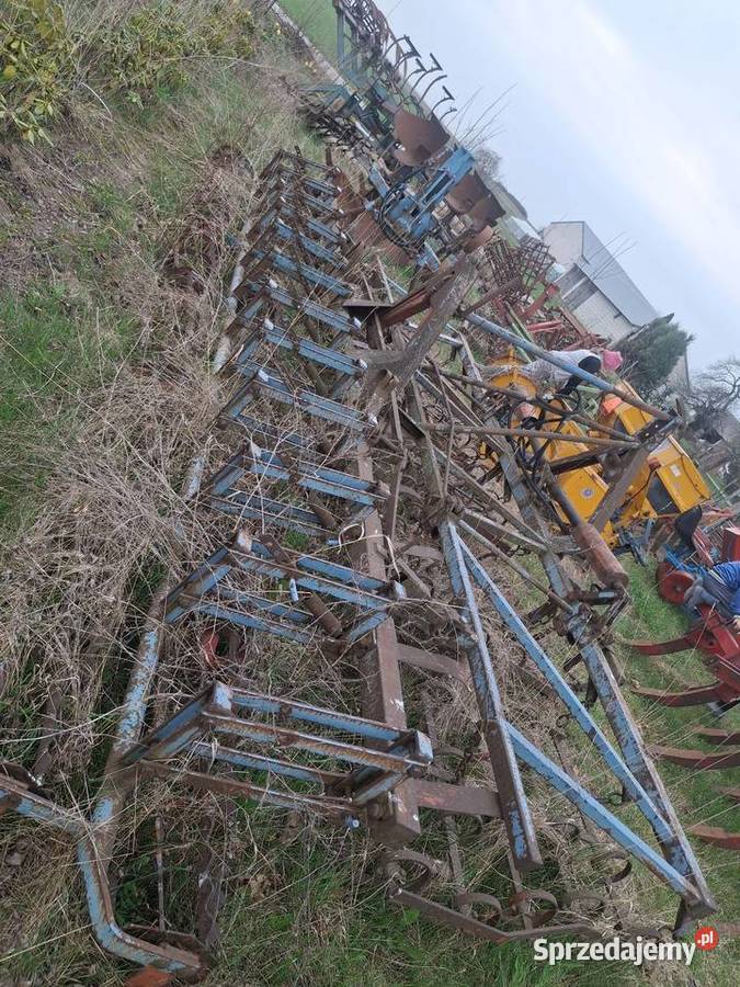 Brona lubelskie Chłaniówek