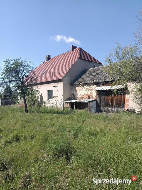 Działka budowlana inwestycyjna 1159 ara z domem Opole