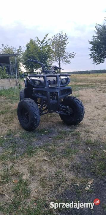 Bashan Hummer 250 xxl Polkowice