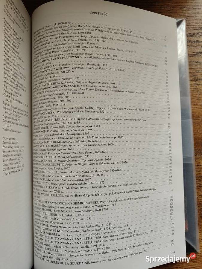 czytać malarstwo polskie DFolgaJanuszewska Rok wydania 2012 Kraków sprzedam