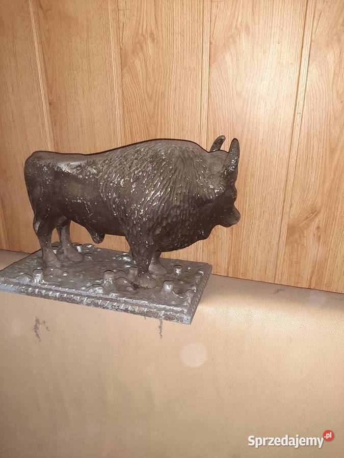 Żubr gigant Bielsko-Biała