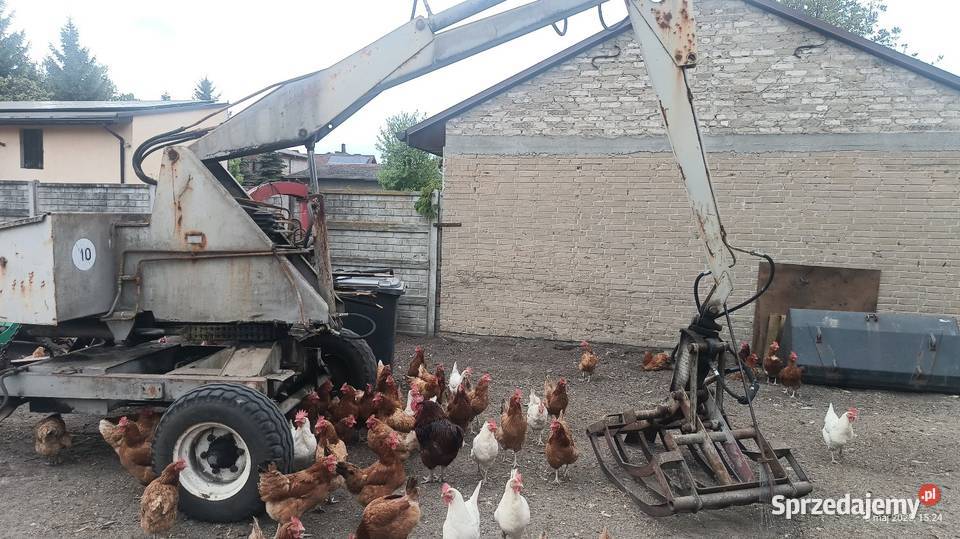 Cyklop Polski Krzepice