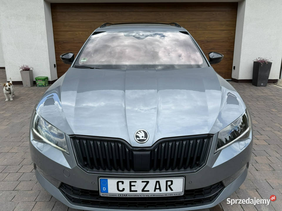koda Superb 19r 20 TDI 190 DSG Sportline diesel Superb Konradów