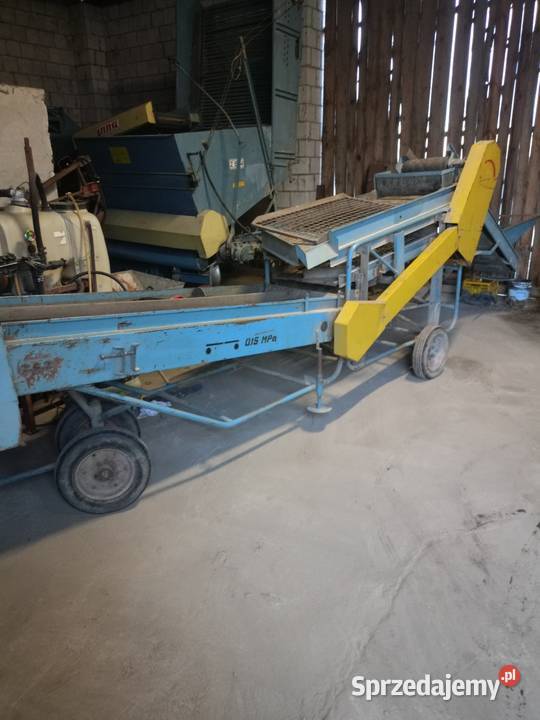 Sortownik do ziemniaków puck Radzyń Podlaski