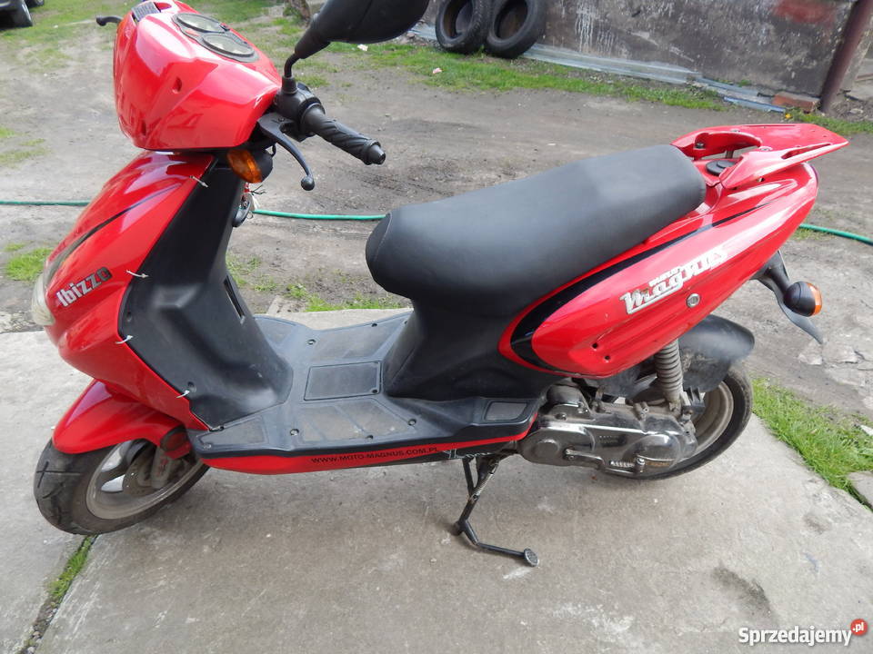 Magnus Ibizzo Wodzisław Śląski