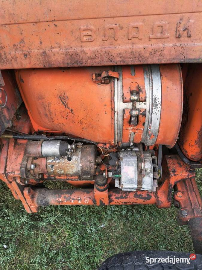Wladymirec T25 Władek ruski Sienno