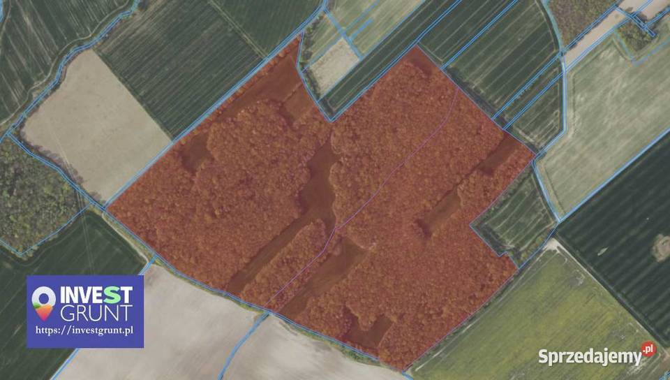 3157 ha przetarg na dzierżawę gruntów rolnych Olszany