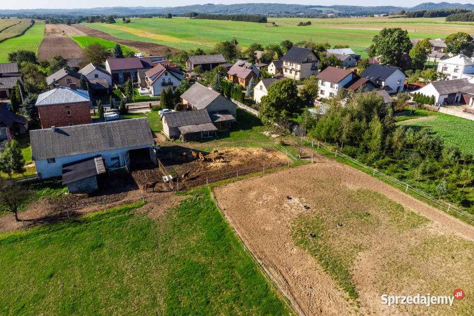 Działka 43 ha z budynkami na wynajem Lgota 43720m2 Lgota Wolbromska