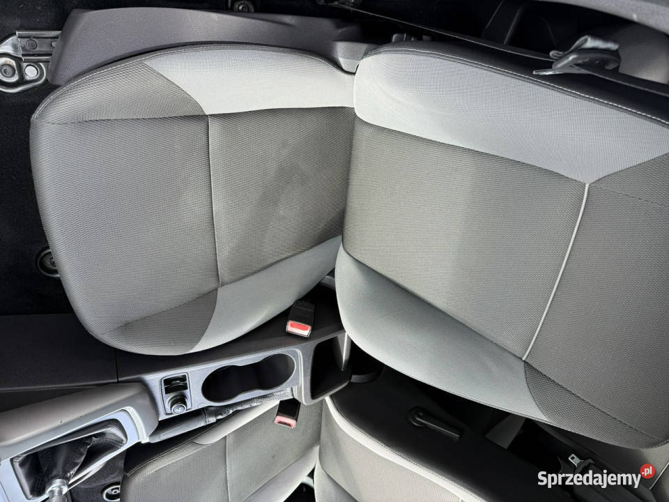 Ford Focus zadbany oryginalny przebieg 100 Poznań