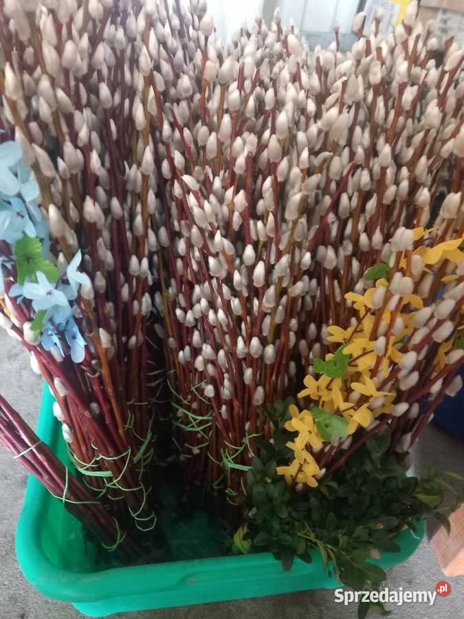 Wyprzedaż 9zltuja sznaragd 2 klasa