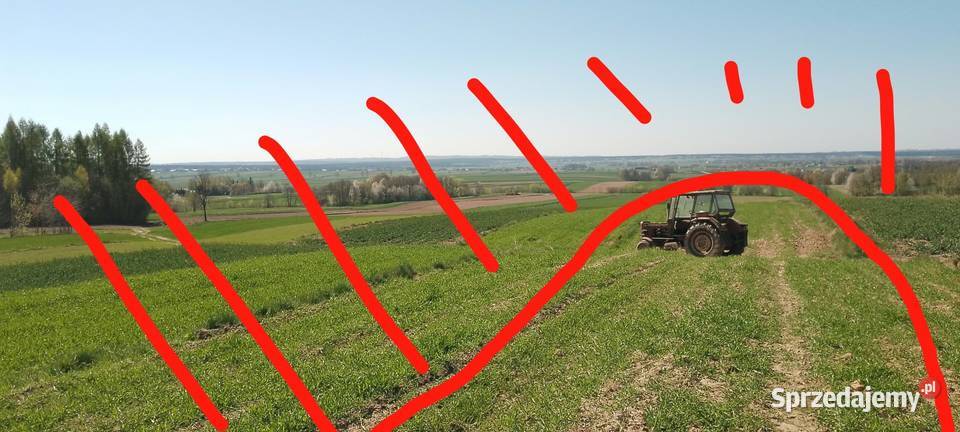 Sprzedam działkę rolnoleśną Nieskurzów Stary