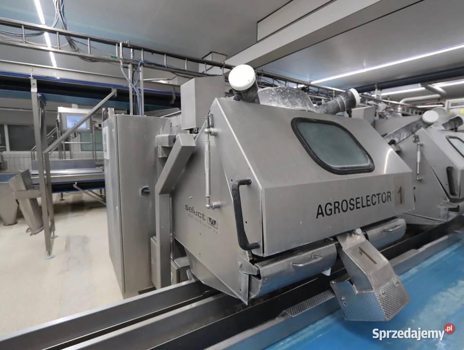 Select Agroselector 6T3M sortownik optyczny wielkopolskie Krotoszyn