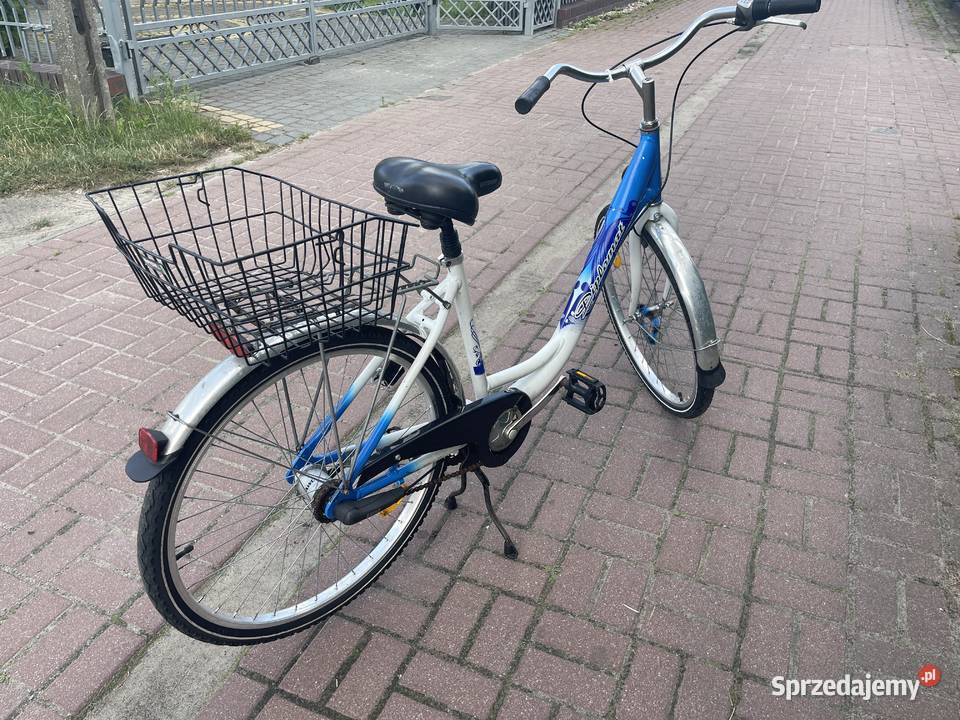 Rower damka Diplomat koło 26 Sport i Wypoczynek Siedlce