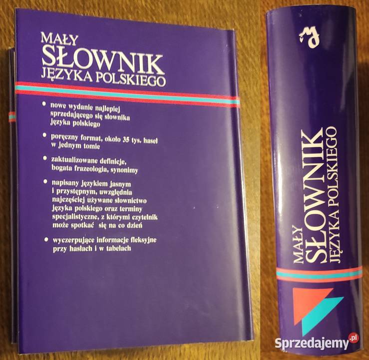 Idealny stan Elżbieta Sobol i in Mały słownik mazowieckie Warszawa