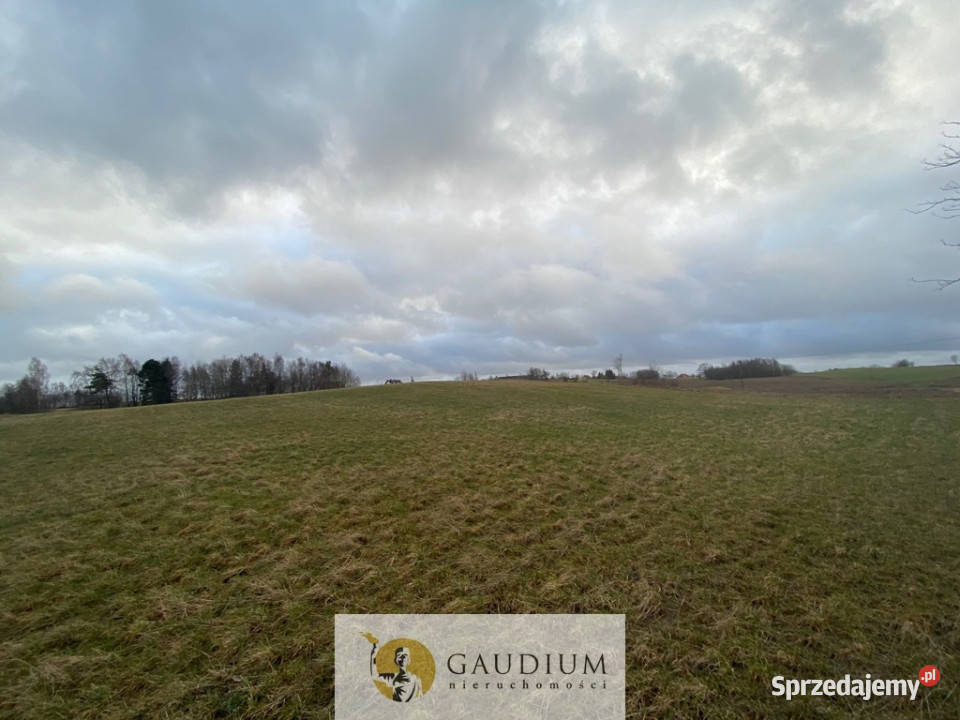 Działka w Pomieczyńskiej Hucie