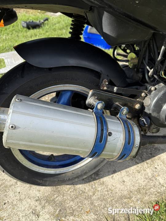 Kingway Koyot 50 łódzkie