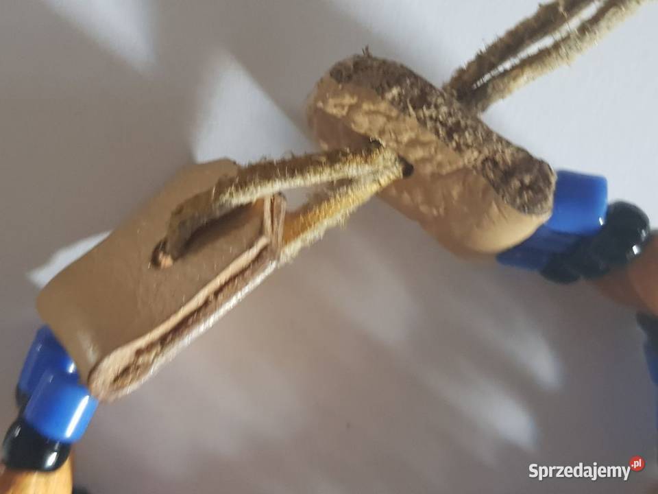 Maroko bransoletka egzotyczna z drewna skórzana Kielce