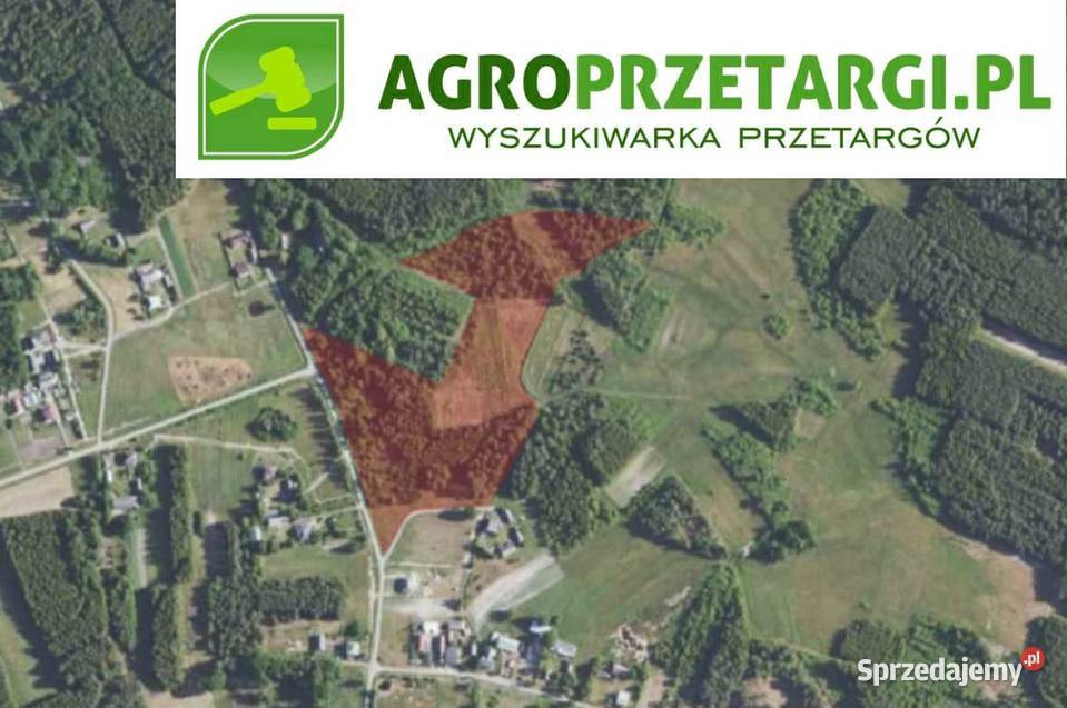 Dzierżawa 581 ha gruntu rolnego Tarnobrzeg sprzedam