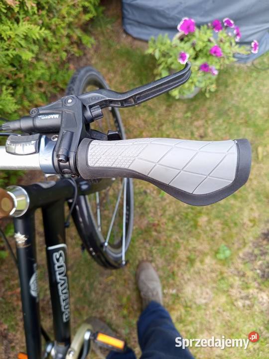 Rower Batavus Shoshone Royal Class Alu karbonowy