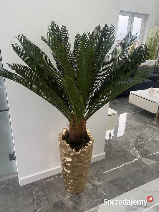 Sztuczna palma z kokosem żywa PREMIUM hit małopolskie Nowy Sącz