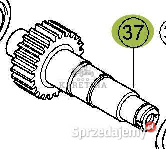 CLAAS Jaguar 970 Wałek Pośredni 0007685082 00 Jastrzębniki sprzedam