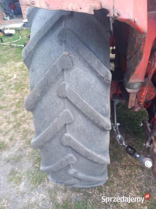 Traktor MTZ 82 MTZ Opole Lubelskie
