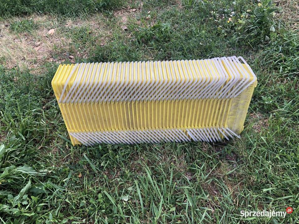 Łubianki na truskawki Wyśmierzyce