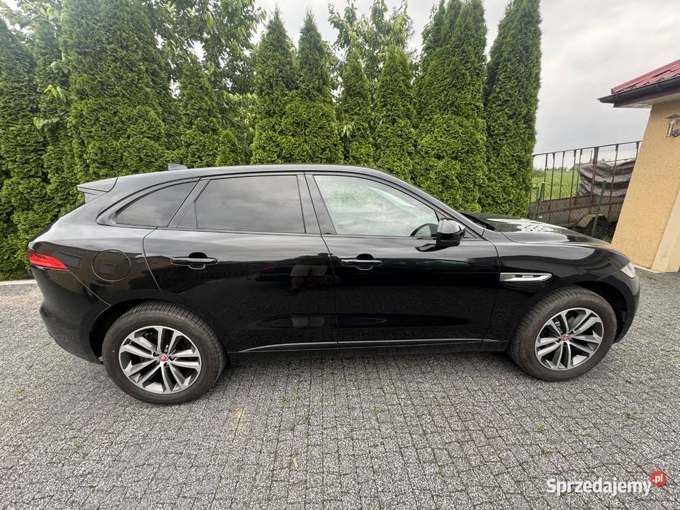 Zadbany Jaguar 20 180 oryginalny przebieg