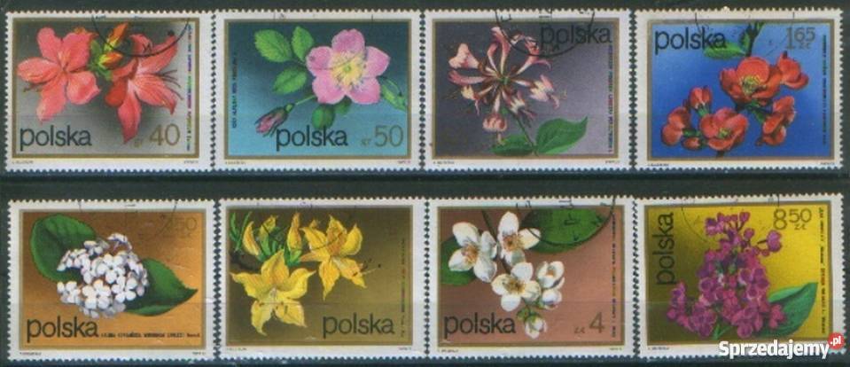 ZnFi 2067 74 kas 1972 Antyki, Sztuka, Kolekcje Gliwice