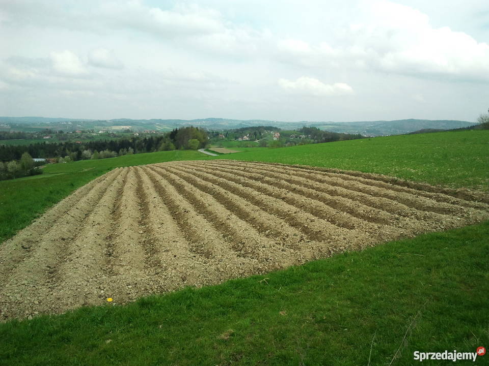 Działka budowlana 100a na sprzedaż